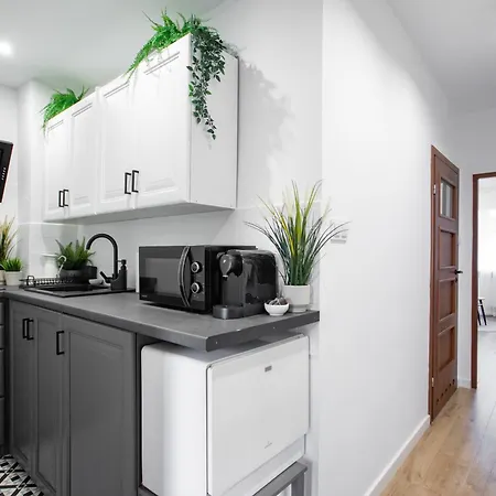 Nowowiejskiego 22 - Centrum * פוזנן