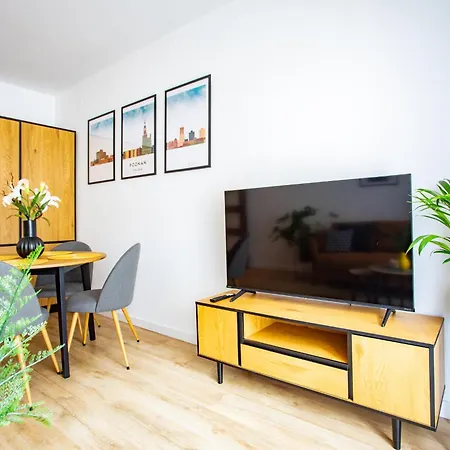 Nowowiejskiego 22 - Centrum * Poznan