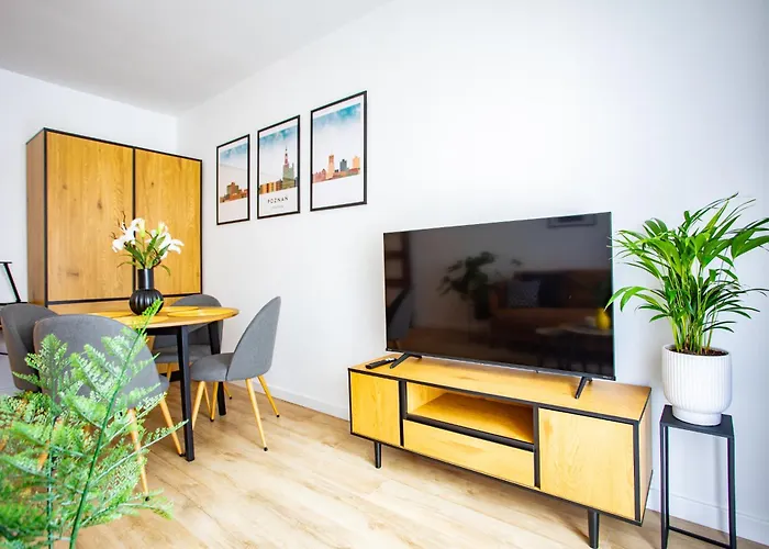 Nowowiejskiego 22 - Centrum * Poznań